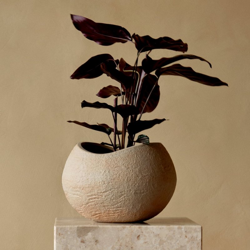 Audo PLANTS Doniczka do Kwiatów 17 cm / Ivory