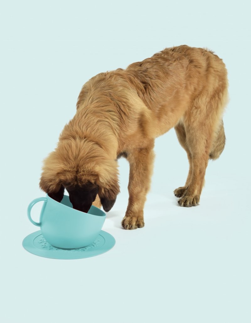 United Pets Milano CUP Duża Miska dla Psa 2500 ml / Czerwona