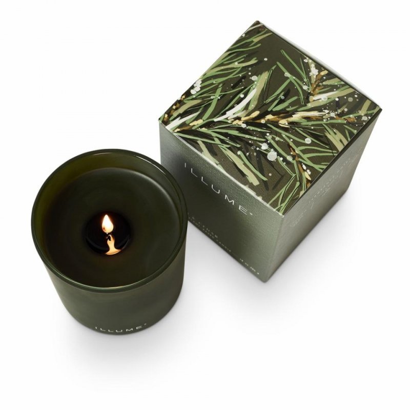 Świeca ILLUME Balsam &amp; Cedar Boxed Glass Candle w dekoracyjnym szkle