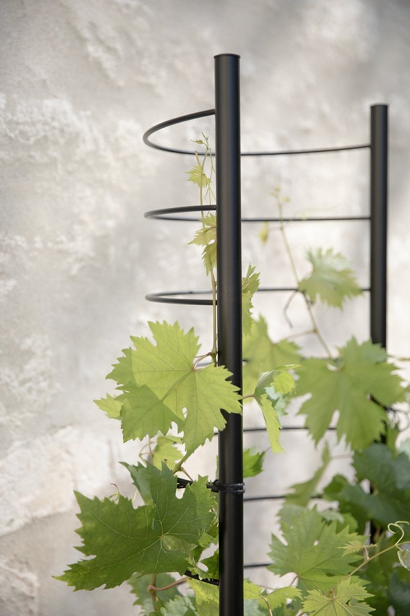 Metalowa podpórka Simply Grow Eva Solo do roślin pnących