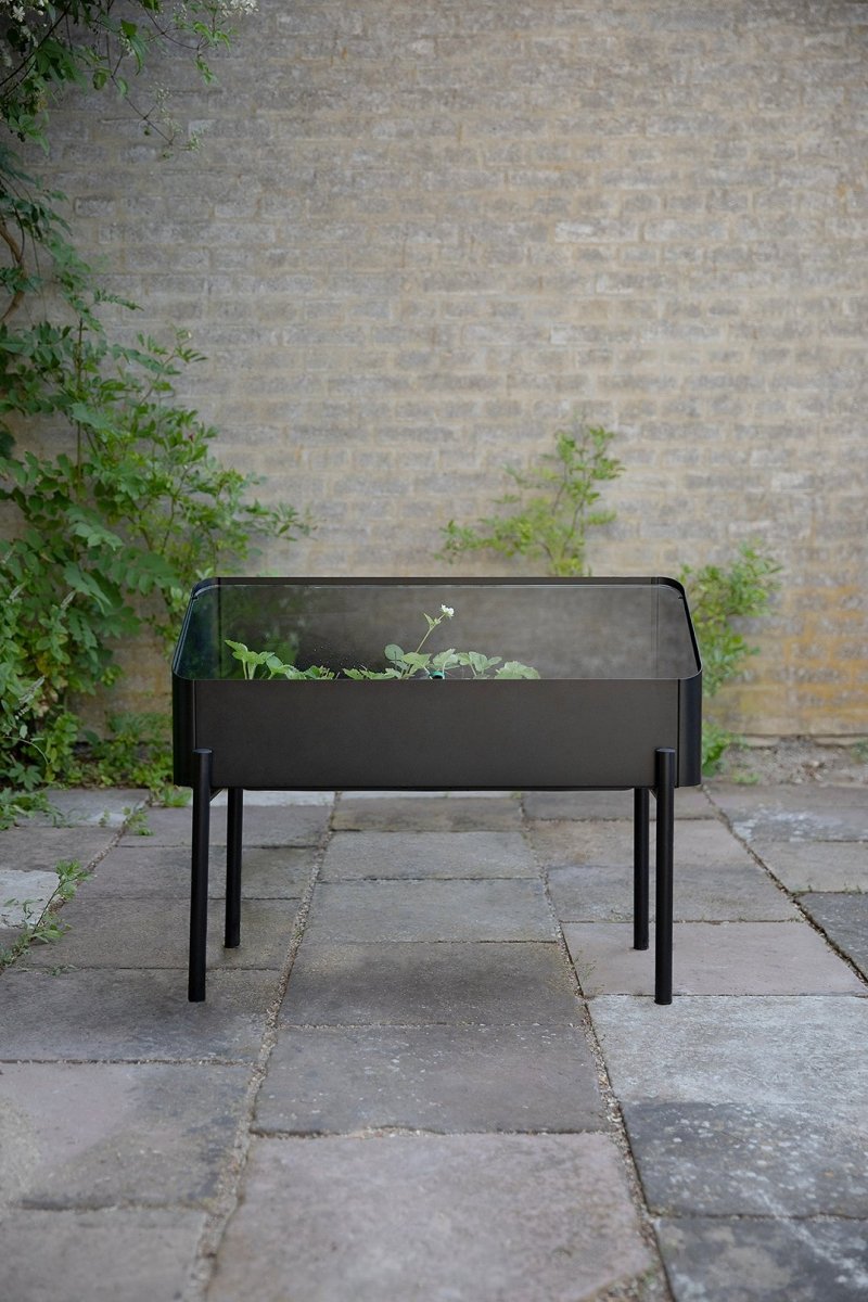 Wnętrze szklarni Simply Grow Spire z rosnącymi roślinami