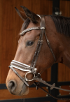  Ogłowie Harry's Horse Chique