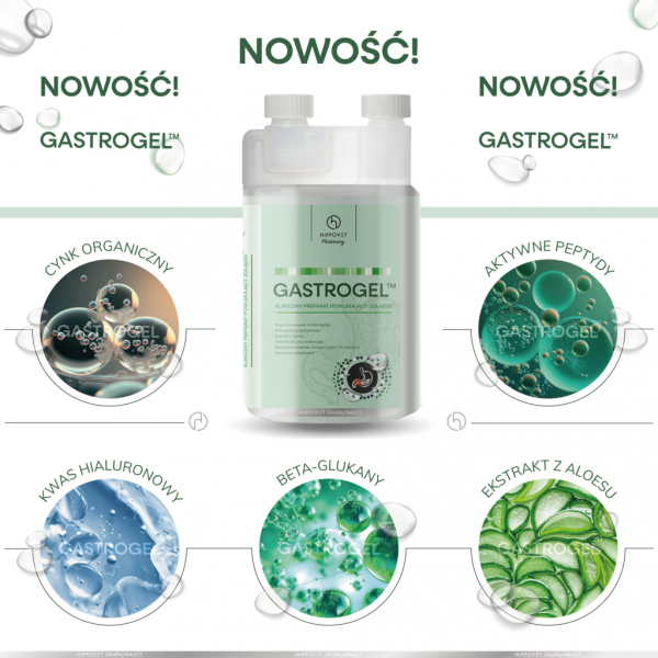 Hippovet Pharmacy GASTROGEL – suplement na wrzody w formie żelu