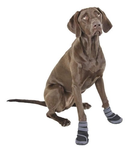 Buty dla psa Active, XXL, Kerbl