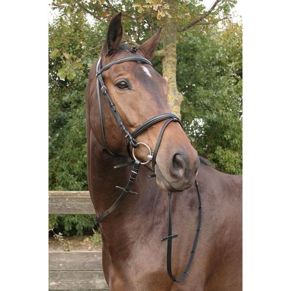 Ogłowie Harry's Horse Bronze