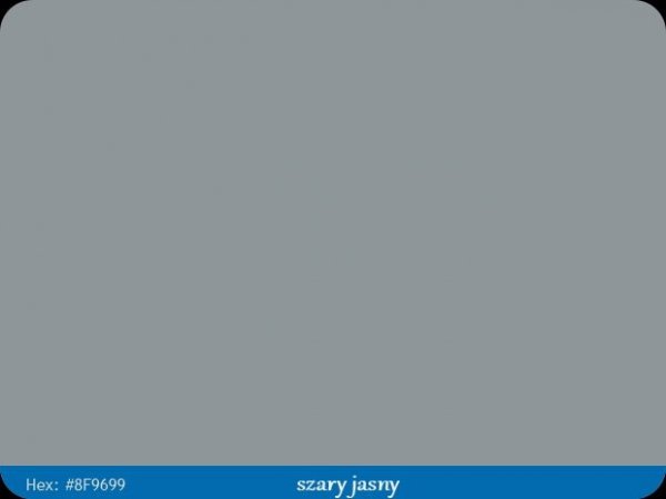 Kanten FIX RAL 7042 szary sygnałowy Pisak retusz