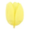 Główki Tulipan 12szt Żółty [ 5 Kompletów ]