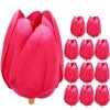 Główki Tulipan 12szt Amarant [ 5 Kompletów ]