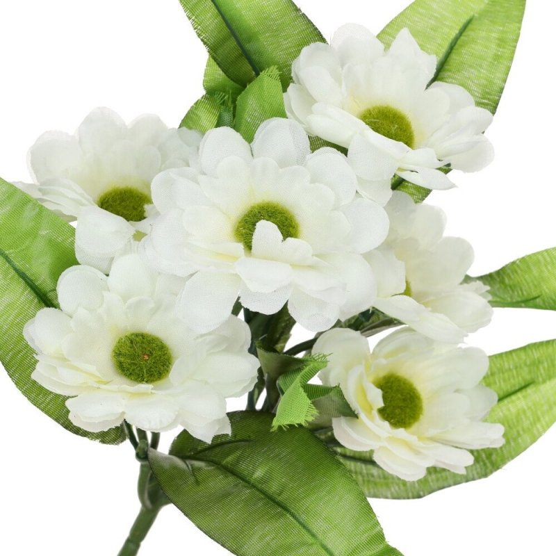 Margaretka Bukiet Kwiatów Białych [ 10 szt ]