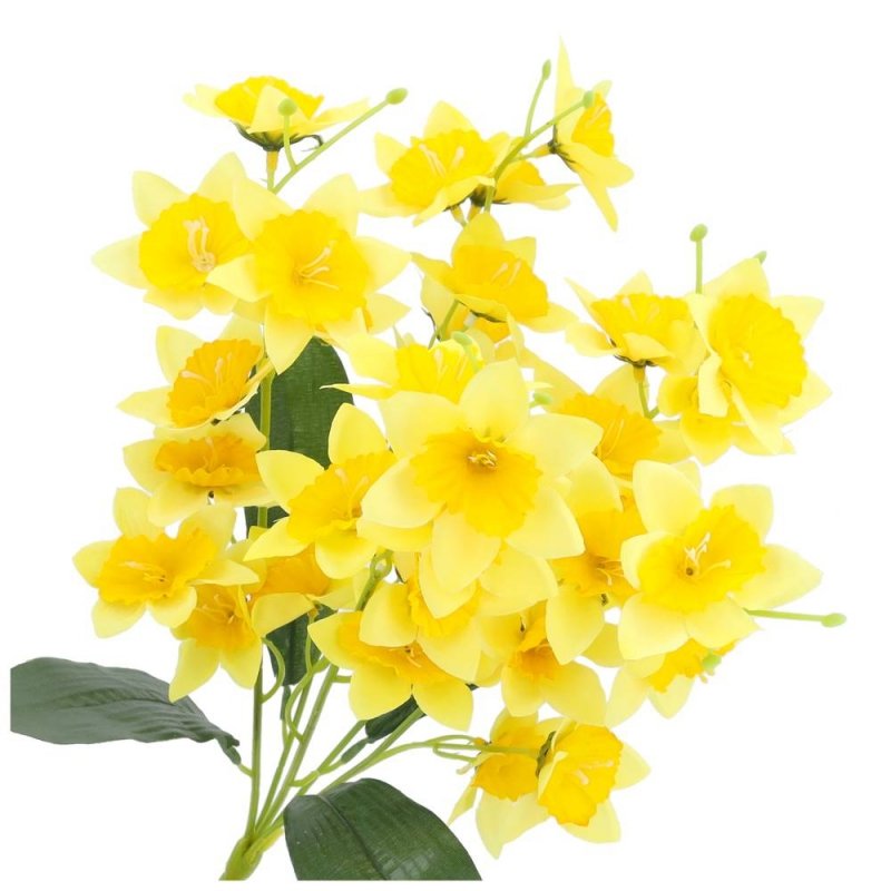 Żonkile Żółte Bukiet Kwiatów I Liści [ 5 Sztuk ]