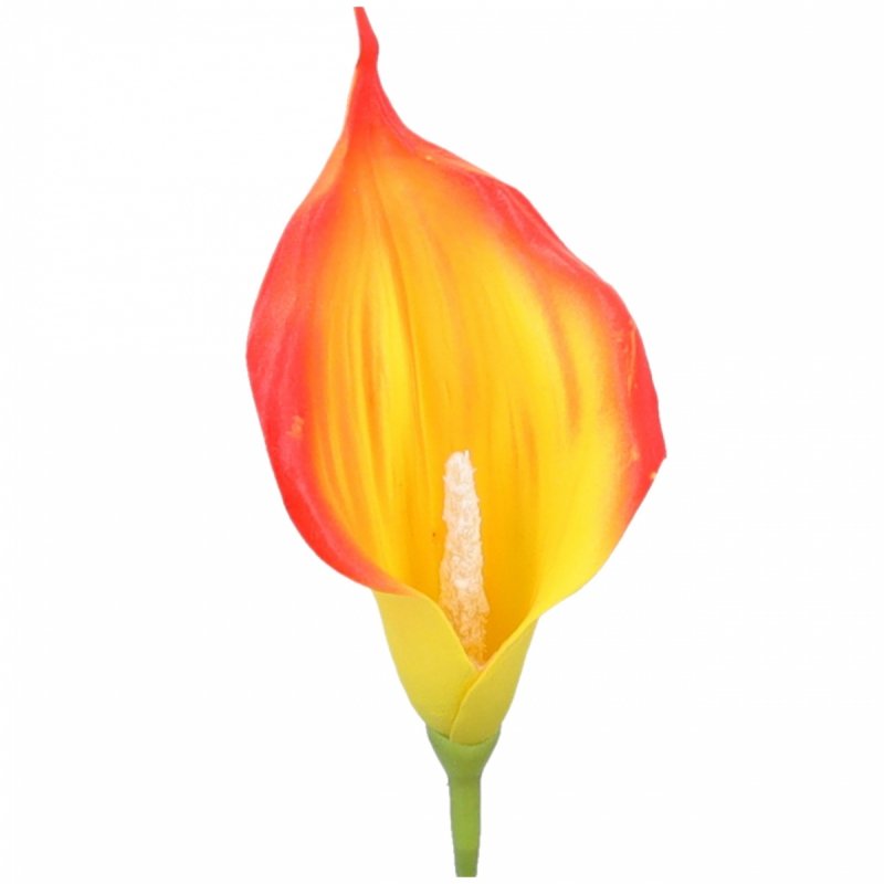 Główki Calla 6szt Pomarańcz/Żółty KR1941H [50opak]
