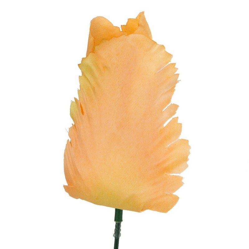 Główka Tulipan Łosoś 9cm [ Komplet 12szt ]