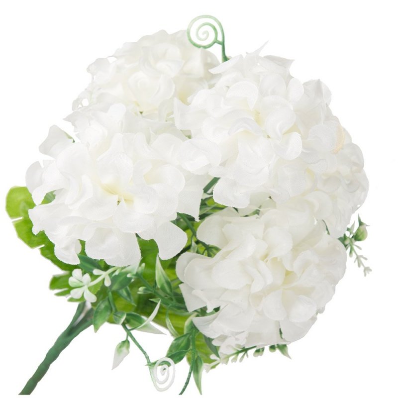 Hortensja Bukiet Białych Kwiatów [ 20szt ]