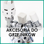 Fox Busko-Zdrój
