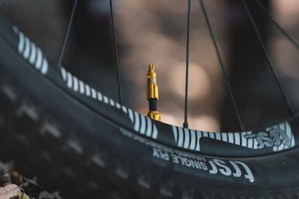 Wentyle tubeless Lezyne CNC TLR Valve — Presta 44 mm, srebrne