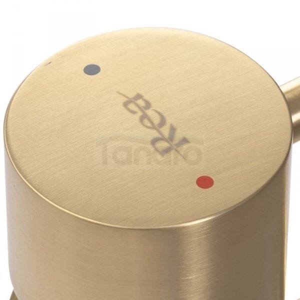 REA - Bateria Umywalkowa TESS Gold/Złota szczotkowana wysoka