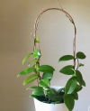 Podpórka podpora do roślin kwiatów metal 40 cm