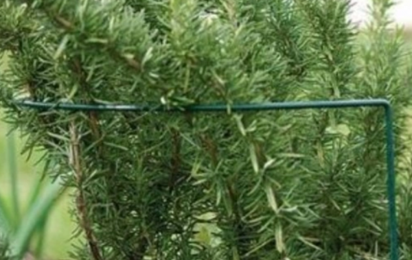 PODPORA DO ROŚLIN KWIATÓW OBEJMA półokrąg 35 cm fi 6mm