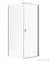 Radaway Nes Kdj I Brushed Nickel kabina 100x80cm prawa szczotkowany nikiel 10022100-91-01R/10039080-01-01