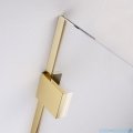 Radaway Essenza Pro 8 Gold 50x200 kabina Walk-in złoty połysk/szkło przejrzyste 1012050-09-01
