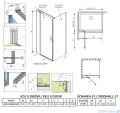 Radaway Nes Kdj II Brushed Nickel kabina 90x90cm lewa szczotkowany nikiel 10032090-91-01L/10039090-01-01
