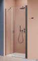 Radaway Nes Brushed GunMetal Dws drzwi wnękowe 100cm prawe szczotkowany grafit szkło przejrzyste 10028100-92-01R