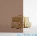 Radaway Essenza Pro Ptj kabina pięciokątna 100x80 prawa przejrzyste 10100000-01-01R/10100800-01-01 