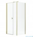 Radaway Nes Gold Kds I kabina 100x70cm lewa złoty połysk 10023100-09-01L/10043070-09-01