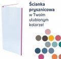 Massi Fix Gold 110x195 cm kabina Walk In przejrzyste MSKP-FA1021-110-G