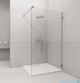 Radaway Euphoria Walk-in V kabina 110cm szkło przejrzyste