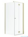 Radaway Nes Gold Kdj B kabina 100x80cm prawa złoty połysk 10025100-09-01R/10039080-01-01