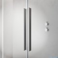 Radaway Furo Brushed Nickel DWJ drzwi prysznicowe 100cm lewe szczotkowany nikiel 10107522-91-01L/10110480-01-01