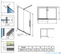 Radaway Furo Gold Walk-in kabina 110x200cm lewa szkło przejrzyste 10106588-09-01L/10110544-01-01