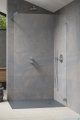 Radaway Essenza Pro Brushed Nickel 125x200 kabina Walk-in szczotkowany nikiel 10103125-91-01 