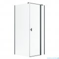 Radaway Nes Kdj II Brushed GunMetal kabina 100x90cm prawa szczotkowany grafit 10032100-92-01R/10039090-01-01