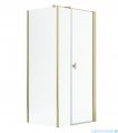 Radaway Nes Gold Kds I kabina 100x70cm prawa złoty połysk 10023100-09-01R/10043070-09-01