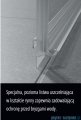 Kermi Nica wejście narożne, jedna połowa, lewa, szkło przezroczyste KermiClean, profil srebro 100cm NIC2L10020VPK