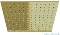Kohlman Experience Brushed Gold zestaw prysznicowy z deszczownicą kwadratową 25x25 cm złoto szczotkowane QW210EGDBQ25