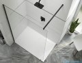 Sanplast Altus PIII/ALTIIa kabina walk-in 120x213 cm czarny matowy 600-121-2961-59-401