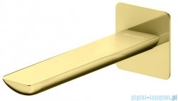Kohlman Experience Gold wylewka do wody 20 cm złoty połysk QW230EGD