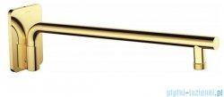 Deante Cascada Gold wylewka prysznicowa ścienna ruchoma 40 cm złoty NAC Z40K