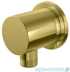 Kohlman Experience Gold przyłącze kątowe wody złoty połysk QW166EGD
