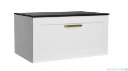 Besco Dexa szafka podumywalkowa 60x50x40cm zielona, uchwyt złoty SUD-654-ZZ