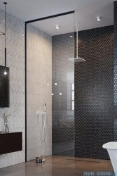 Radaway Modo XL Black kabina Walk-in 100-160×250-300 szkło przejrzyste 10mm 389409-54-01