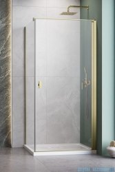 Radaway Nes Kdj I Brushed Gold kabina 100x100cm prawa szczotkowane złoto 10022100-99-01R/10039100-01-01