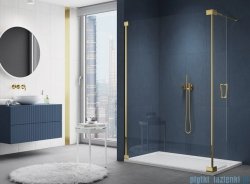 SanSwiss Cadura Gold Line kabina Walk in 100cm lewa ze ścianką ruchomą  CADUOG1001207