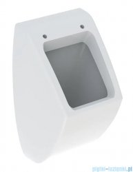 Geberit Pareo pisuar wiszący biały 236100000
