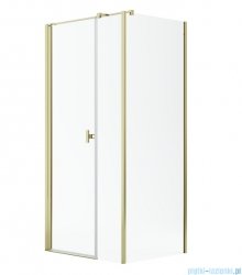 Radaway Nes Gold Kds I kabina 100x70cm lewa złoty połysk 10023100-09-01L/10043070-09-01