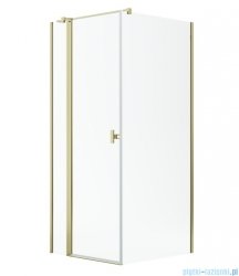 Radaway Nes Kdj II Gold kabina 120x75cm lewa złoty połysk 10032120-09-01L/10039075-01-01