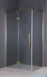 Sea Horse Fresh Line Gold kabina prostokątna lewa 80x100x195 cm przejrzyste BK248T08/10ZL